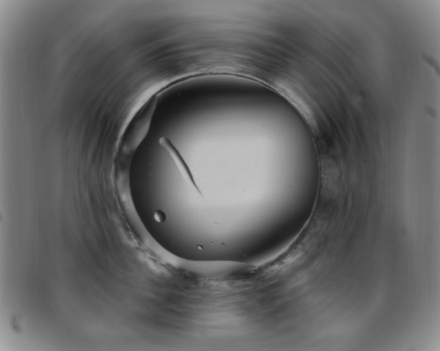 X0000097850956200803141214