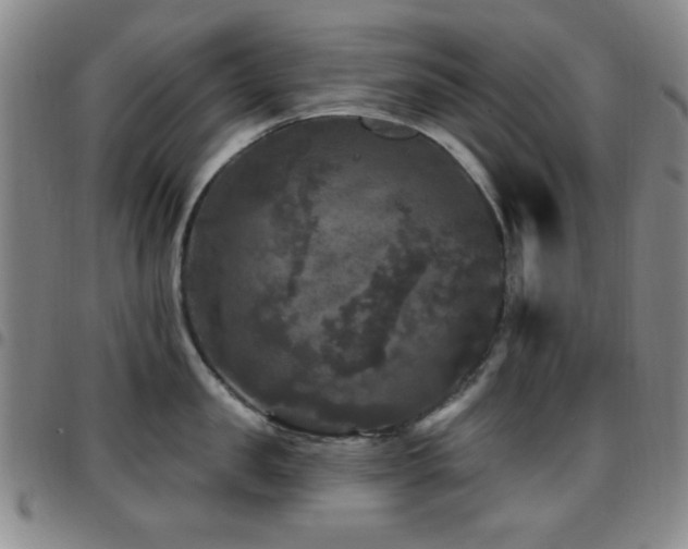 X0000097850957200803141214