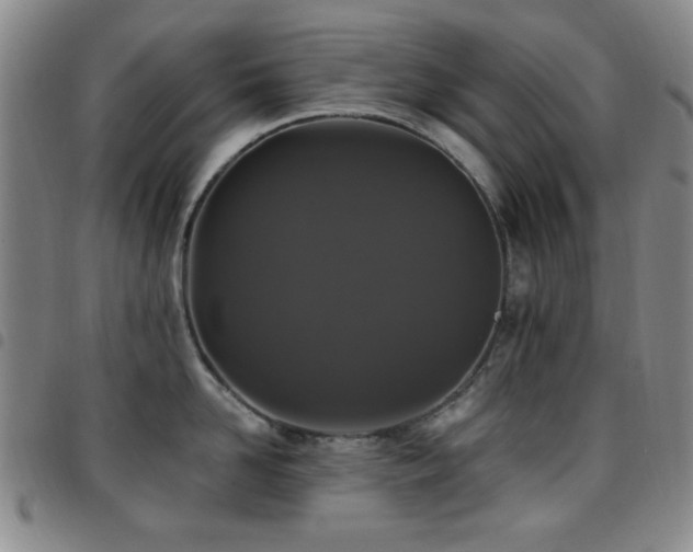 X0000097850958200803141214