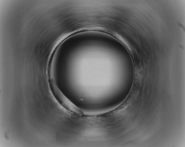 X0000097850959200803141214