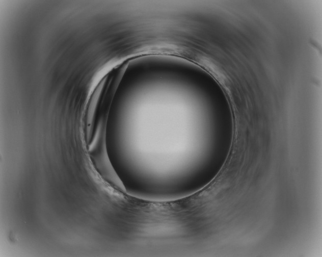 X0000097850960200803141214