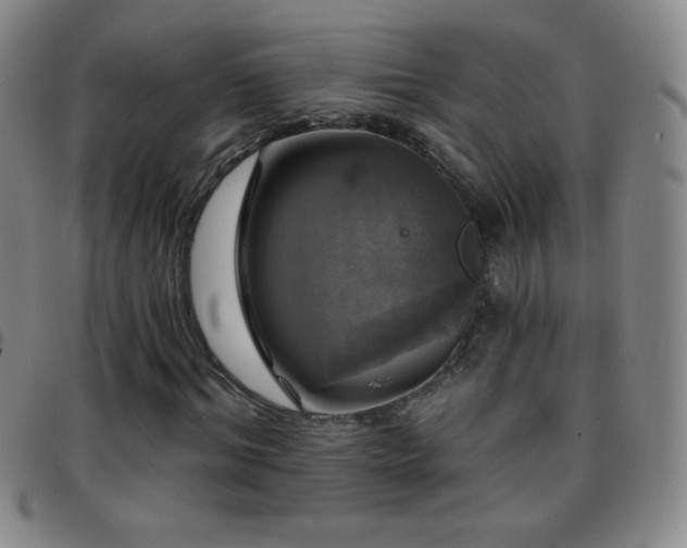 X0000097850964200803141214