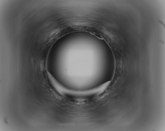 X0000097850965200803141214
