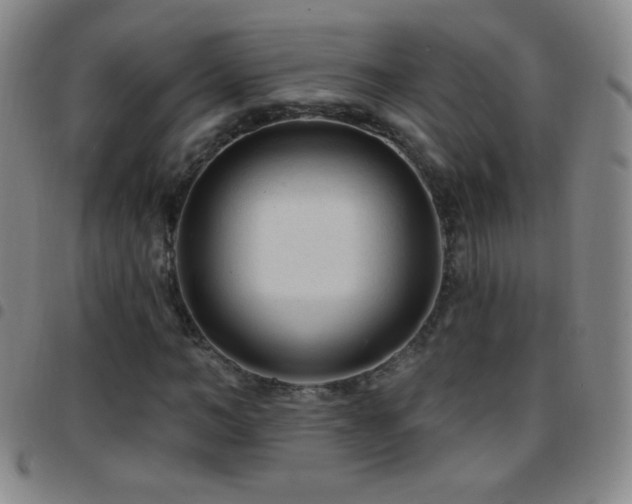 X0000097850966200803141214