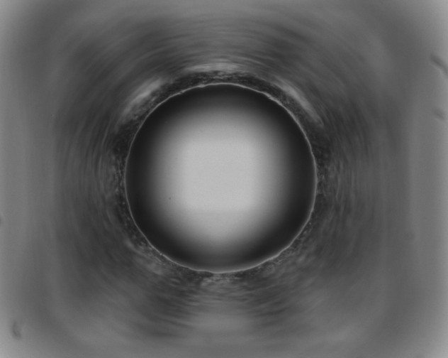 X0000097850967200803141214
