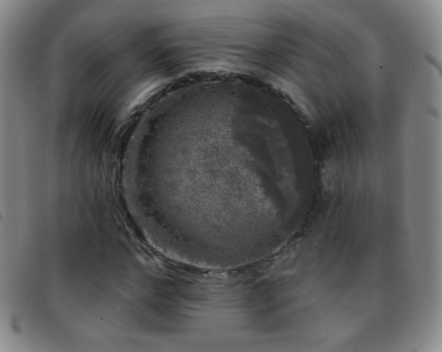 X0000097850968200803141214