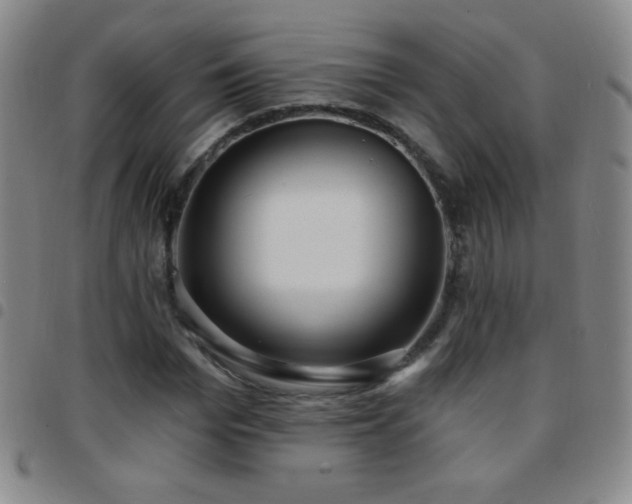 X0000097850969200803141214