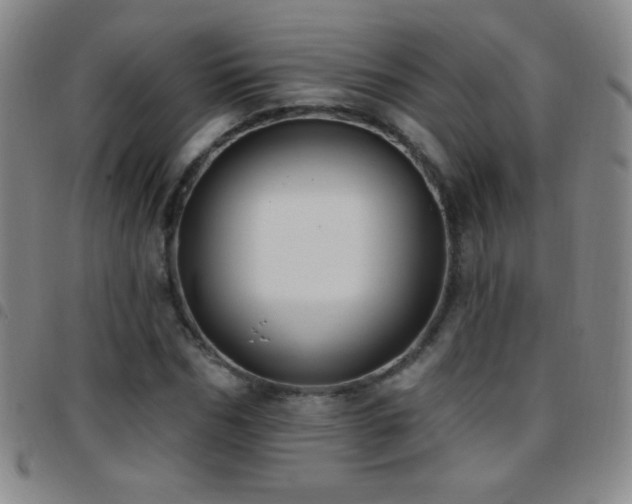 X0000097850970200803141214