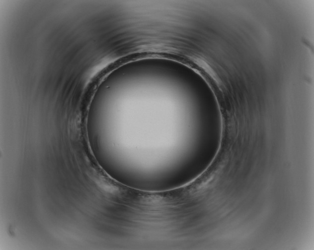 X0000097850971200803141213