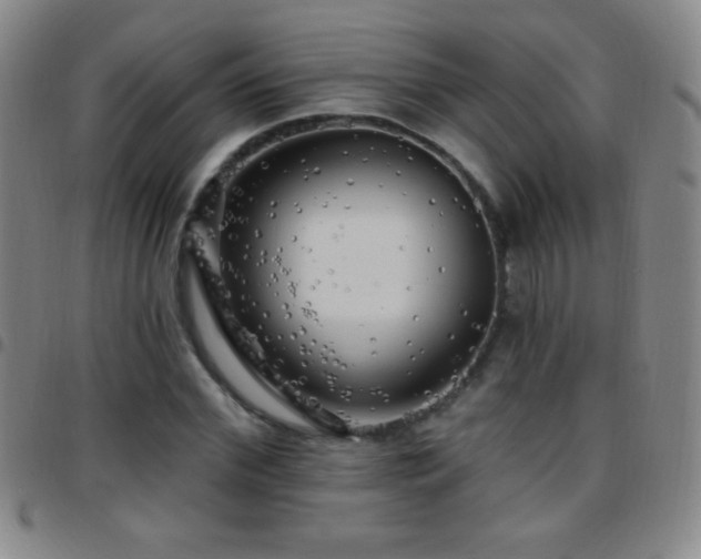 X0000097850972200803141213