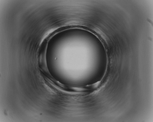 X0000097850973200803141213