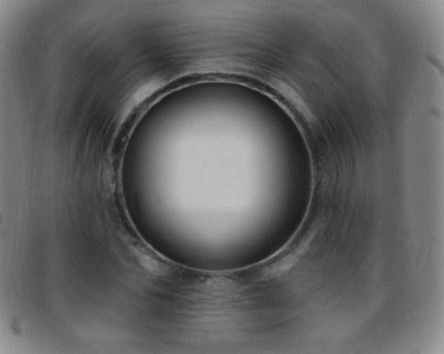 X0000097850974200803141213