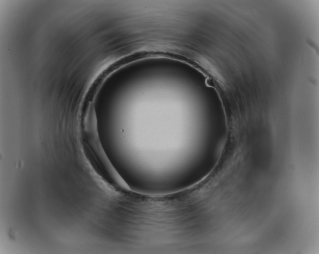 X0000097850976200803141213