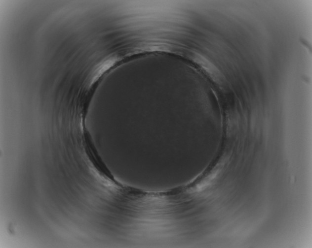 X0000097850977200803141213