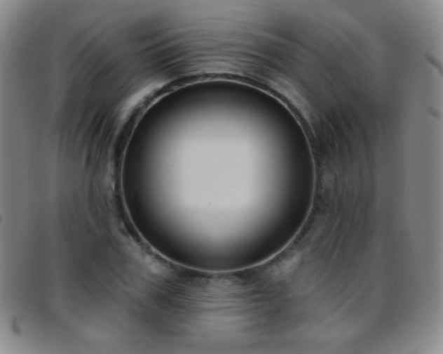 X0000097850979200803141213