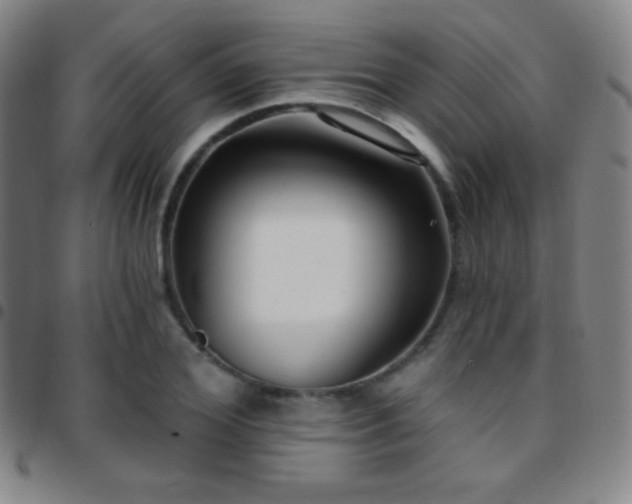 X0000097850980200803141213