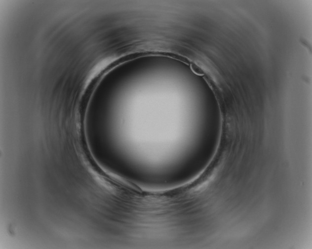 X0000097850981200803141213