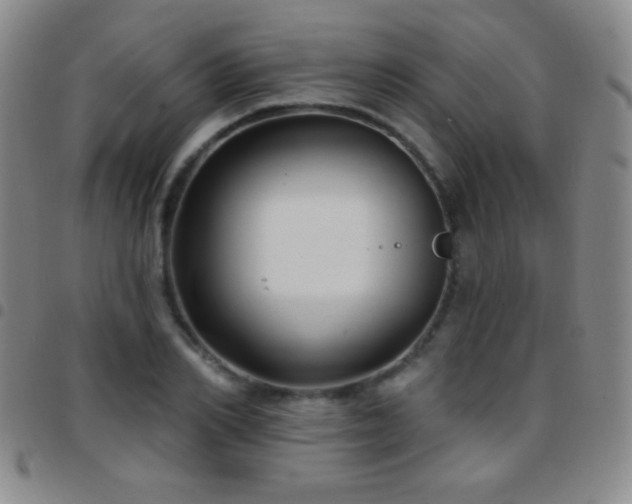 X0000097850982200803141213