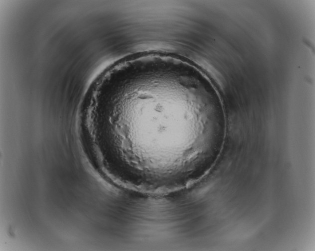X0000097850983200803141213