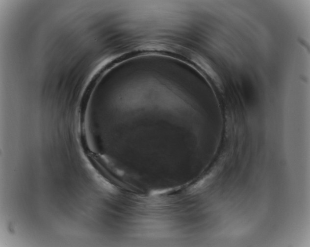 X0000097850984200803141213