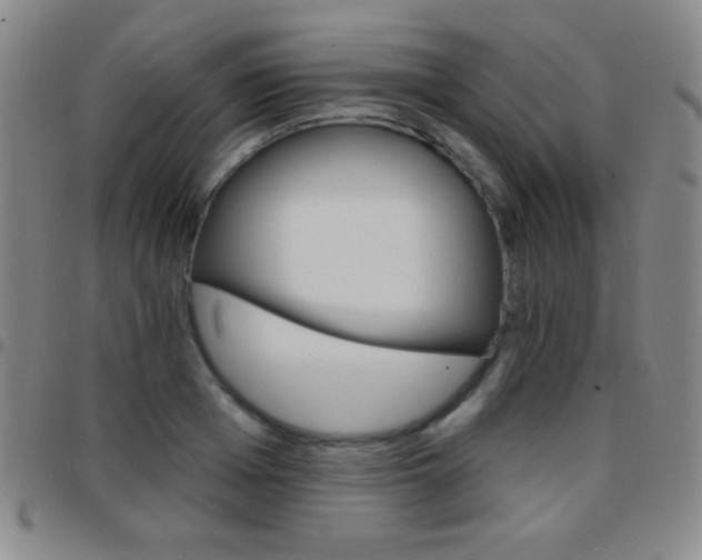 X0000097850985200803141213