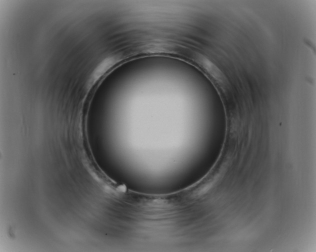 X0000097850986200803141213