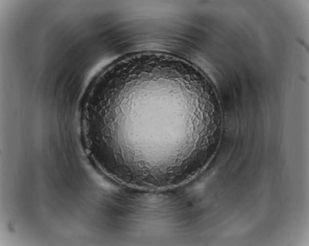 X0000097850987200803141213
