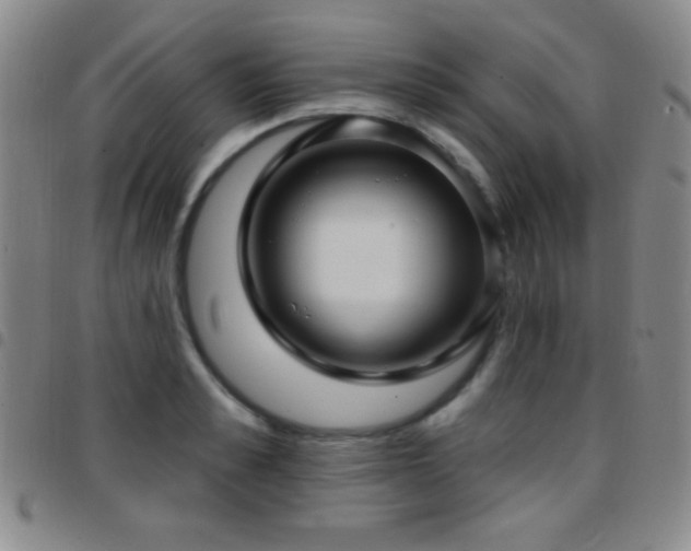 X0000097850989200803141213