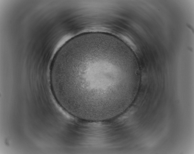 X0000097850990200803141213