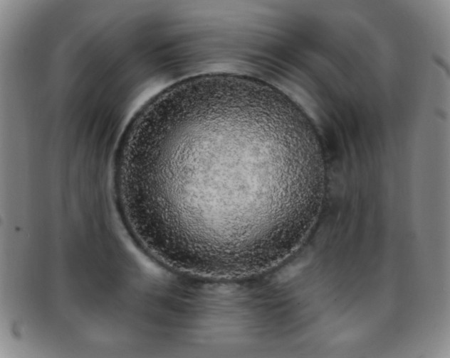 X0000097850991200803141213