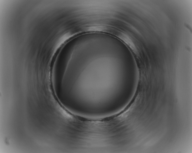 X0000097850992200803141213