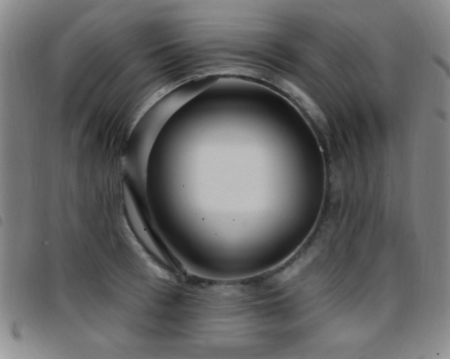 X0000097850993200803141213