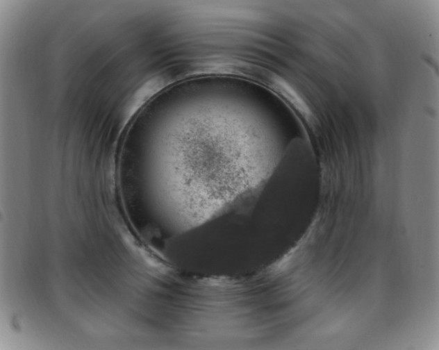 X0000097850994200803141213