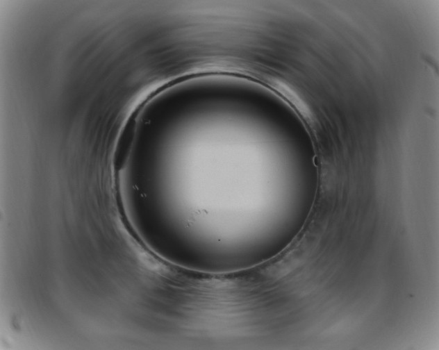 X0000097850996200803141213