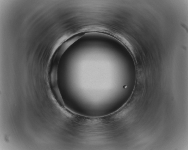 X0000097850997200803141213