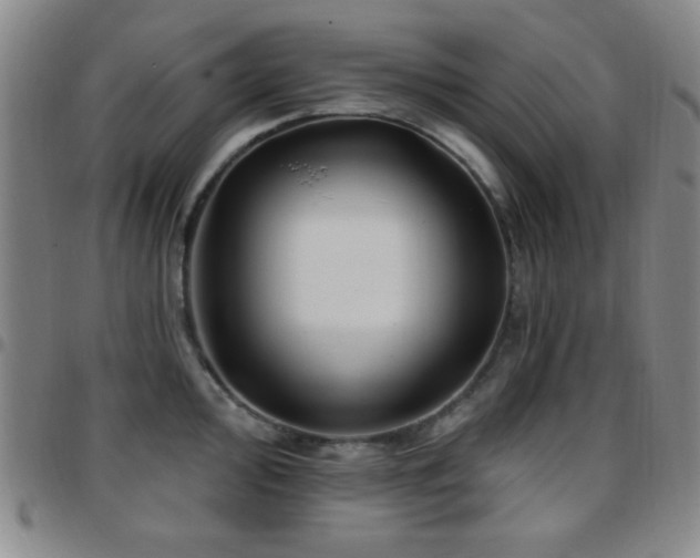 X0000097851000200803141213