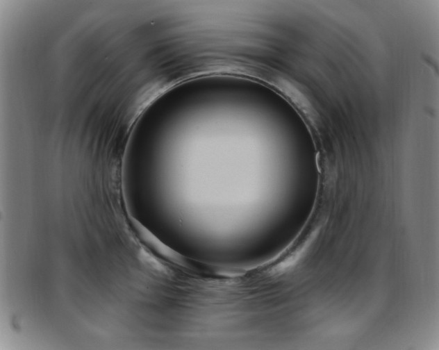X0000097851001200803141213