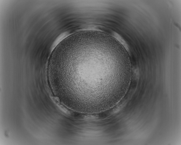 X0000097851002200803141213