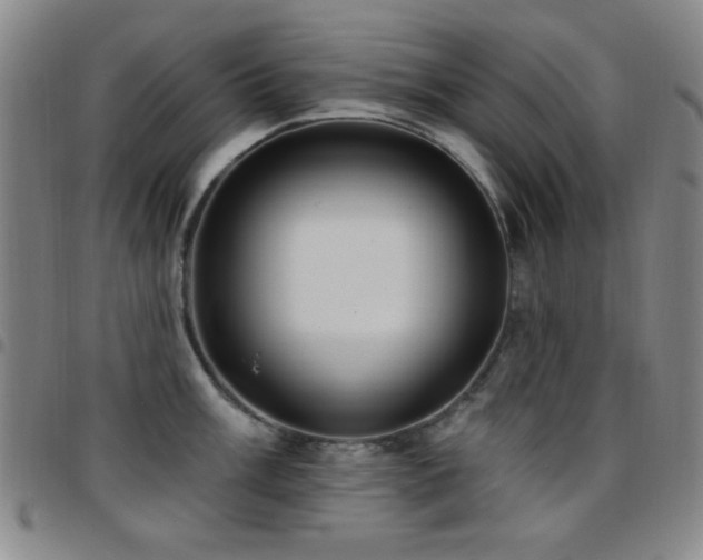 X0000097851003200803141213