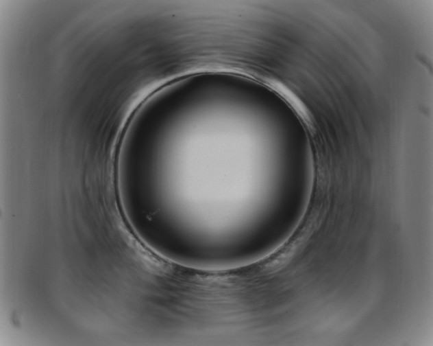 X0000097851004200803141213