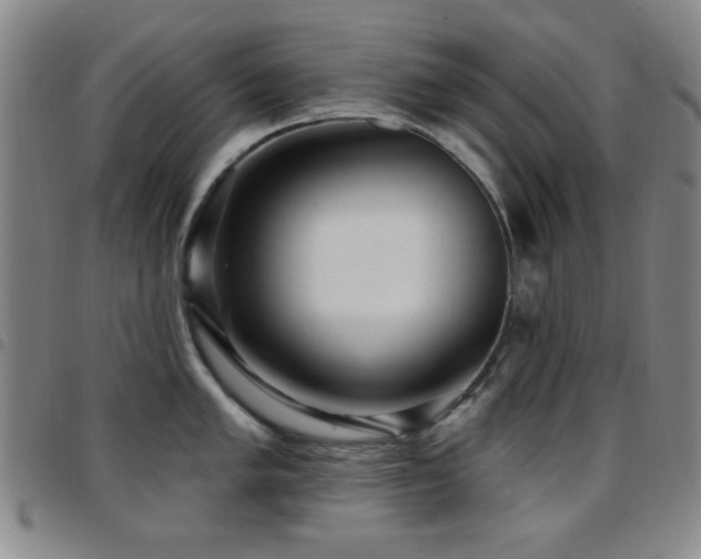 X0000097851005200803141213