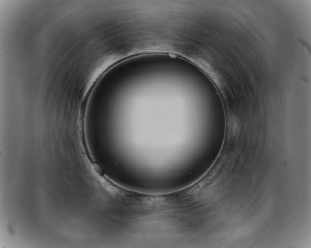 X0000097851006200803141213