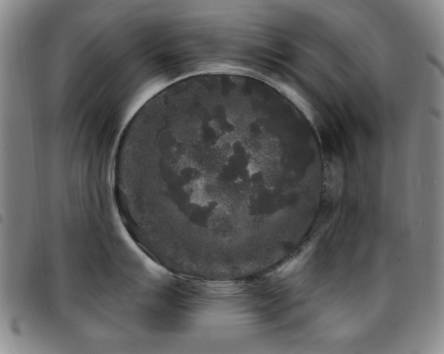 X0000097851007200803141213