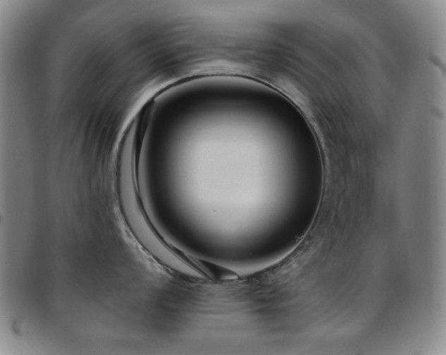 X0000097851008200803141213