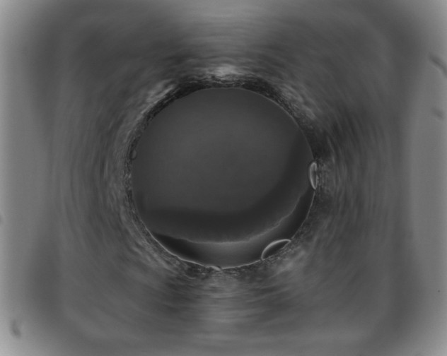 X0000097851009200803141212