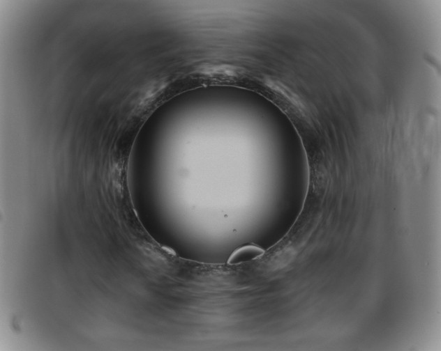 X0000097851010200803141212