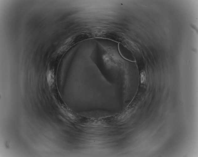 X0000097851011200803141212