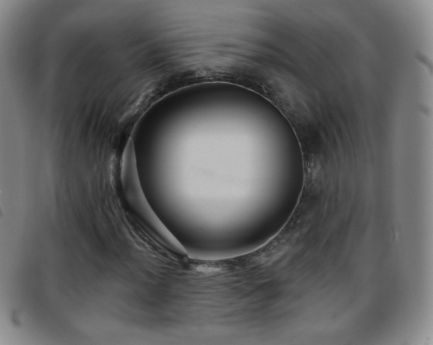 X0000097851012200803141212