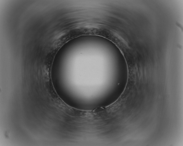 X0000097851013200803141212