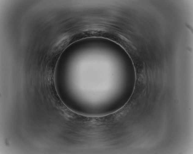 X0000097851014200803141212
